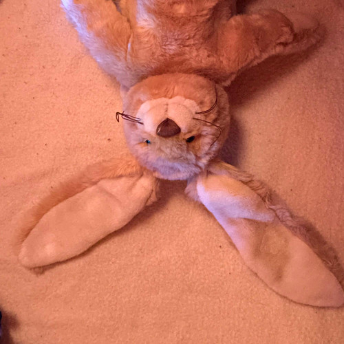 Stoff plüschtier hase - stoff-, |