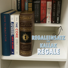 Kallax Regal Einsatz Perfekt