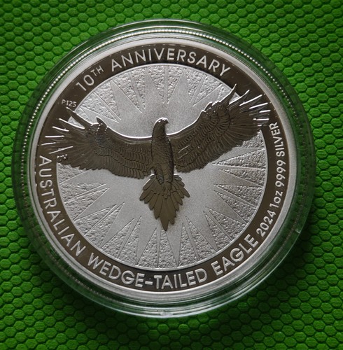 2024 australien wedge tailed - 2024,