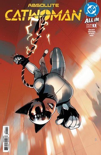Absolute catwoman - catwoman, 6)