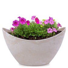 Pflanzschale blumenschale oval - pflanzschale,