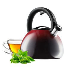 KADAX Teekessel aus Edelstahl