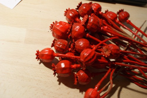 Mohnkapseln rot groß - rot,