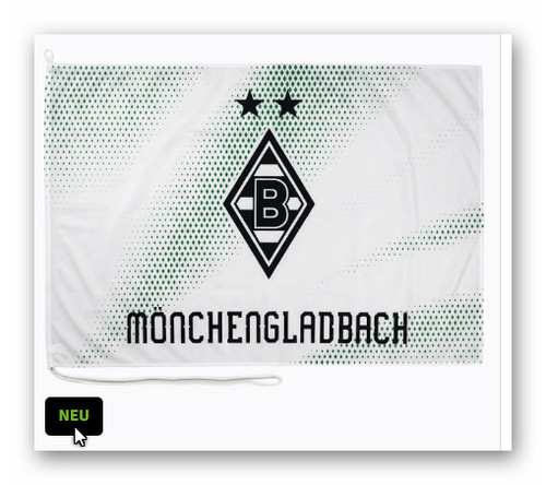 Vfl borussia mönchengladbach - vfl,