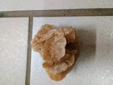 Versteinerungen Fossilien