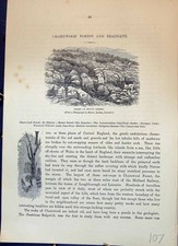 Antiker alter Druck Charnwood