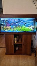 Aquarium Becken 150
