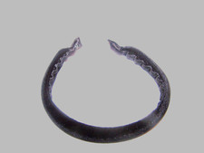 Haarreifen Samtstoff, schwarz, Damen/ Mädchen, 2 cm breit
