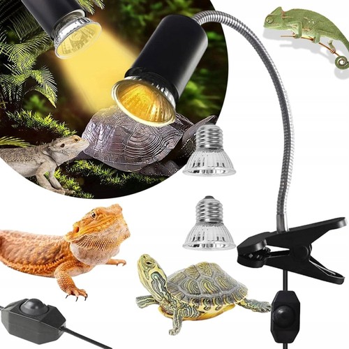 Schildkröten wärmelampe - schildkröten,