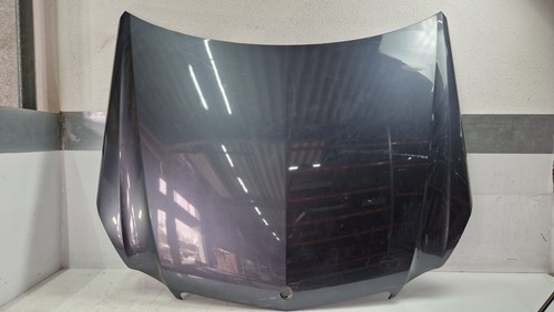 Motorhaube tenoritgrau - motorhaube,