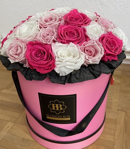 Rosenbox weiß rund 37 - ca.,