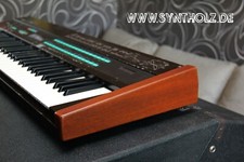 Echtholz Seitenteile Paneele