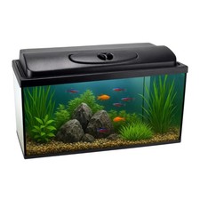 Aquarium rechteckig 50x30x30 cm 45 L mit Abdeckung inkl. LED Beleuchtung Set 50