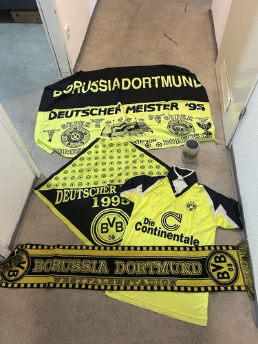 Bvb borussia dortmund - dortmund, fan