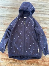 Racoon Outdoor Regen