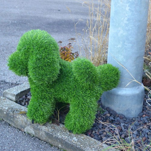 Aniplants hund pinkelnd garten - pinkelnd,