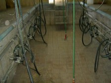 Melkstand mit kompletter