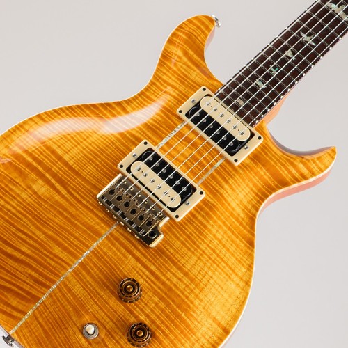 Paul reed smith - paul, (prs)