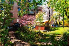 ORIGINAL Ölgemälde Arseni ~