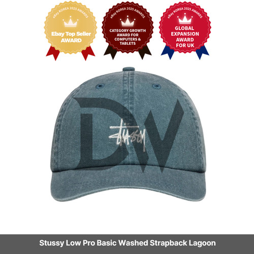Stussy low pro basic washed - low,