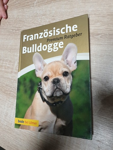 Französische bulldogge - französische,