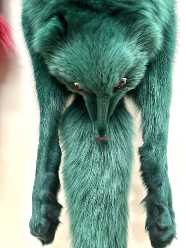 Fuchsfell fuchsschal - fuchsfell,