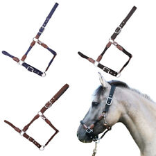 USG Seil Halfter Dublin