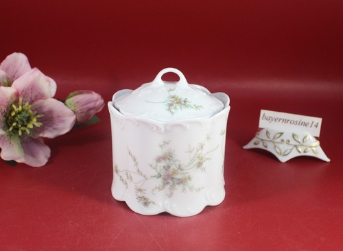 Rosenthal classic rose - classic,