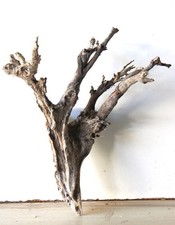 Treibholz Schwemmholz