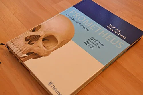 Prometheus lernatlas der - prometheus,