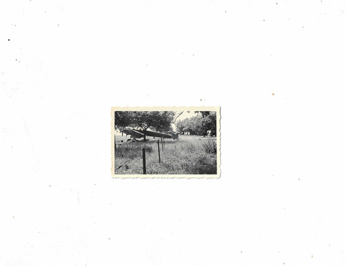Original foto weltkrieg - 1,