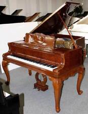 Flügel Blüthner 190 Vogelaugenahorn poliert, generalüberholt, 5 Jahre Garantie