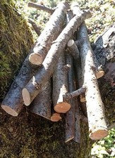 Apfelzweige 1 Kg + 1Kg