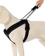 Norweger Marken Zug Sicherheits Geschirr