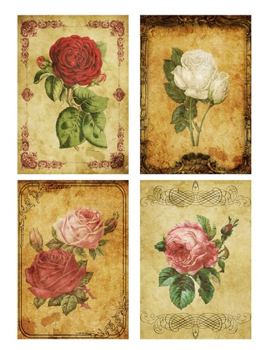 Scrapbook papier - scrapbook,