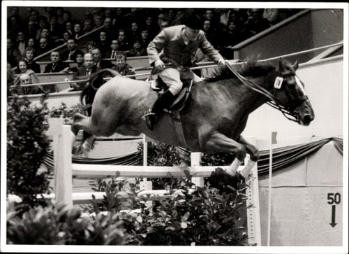 Foto reitturnier - foto,