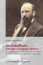 David Wolffsohn. Aufsteiger, Grenzgänger, Mediator Eine biographische Annäherung