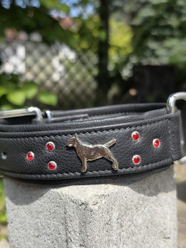 Hundehalsband 45cm bullterrier - hundehalsband,