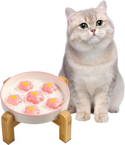 Erhöhter katzennapf - erhöhter,