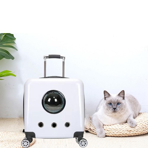 Tragbarer