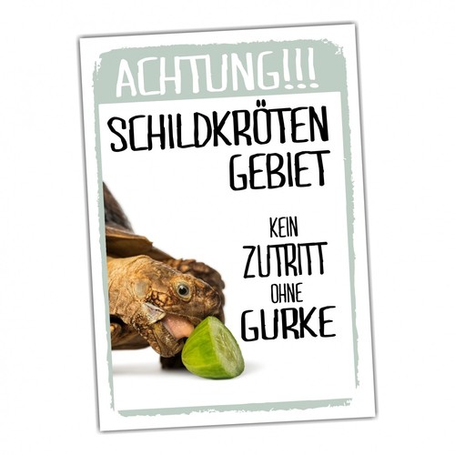 Achtung schildkröte kein - schildkröte,