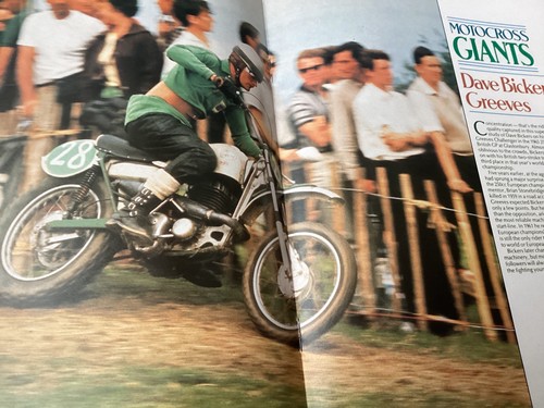 Triumph metisse greeves - triumph,