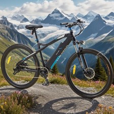 E-Mountainbike 27.5 Zoll 250W