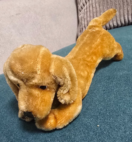 Steiff hund dackel hexie - hund,