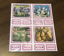 MONTESSORI - GROUPS OF ANIMALS