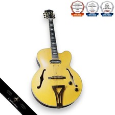 Ibanez Pat Metheny Signature