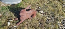Neu !! Hase, Kaninchen, Tier, Skulptur, Gusseisen, Osterhase