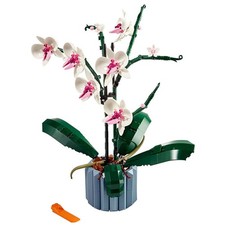 Orchidee Bausteine Orchidee