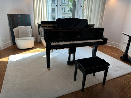 Yamaha disklavier dgc1 - en, st