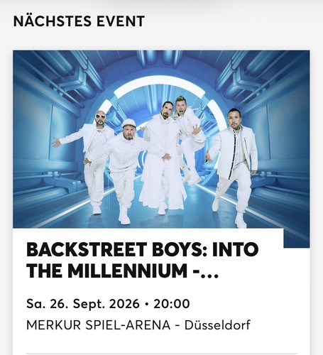 Backstreet boys into the - boys,